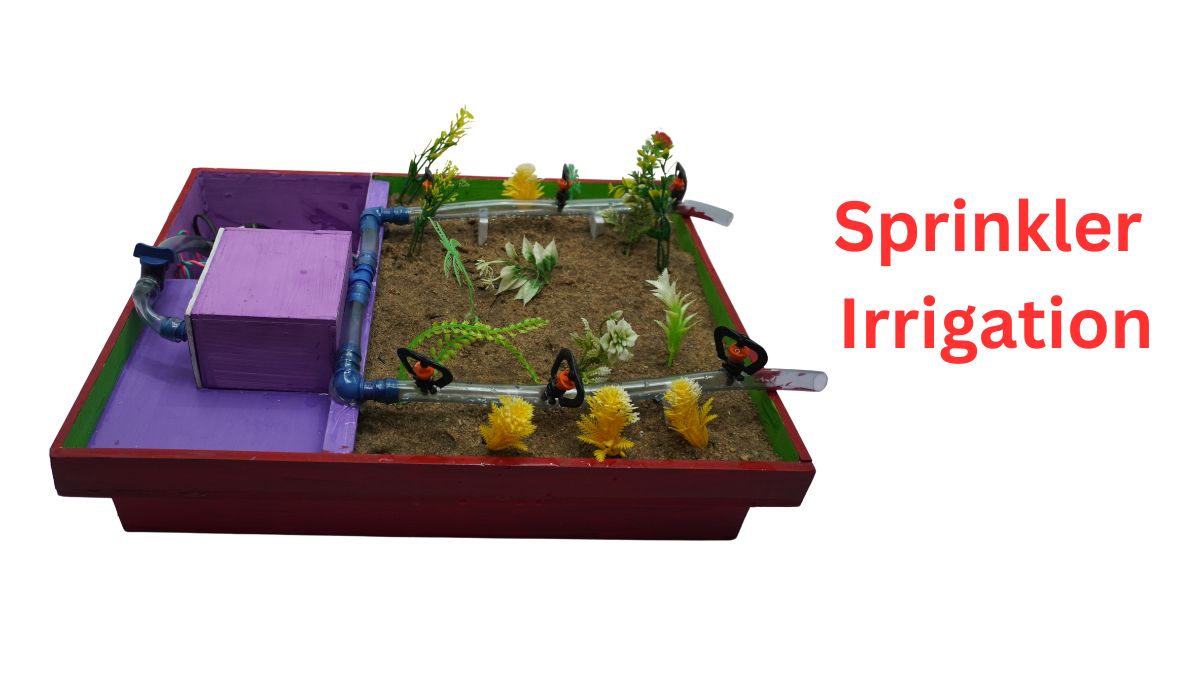 sprinkler-irrigation
